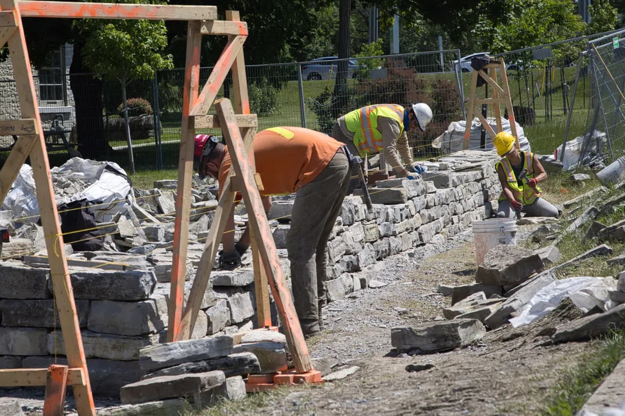 Three wallers working along the rising wall between timber batter frames, stone laid out on the ground either side of them and the site fencing behind.