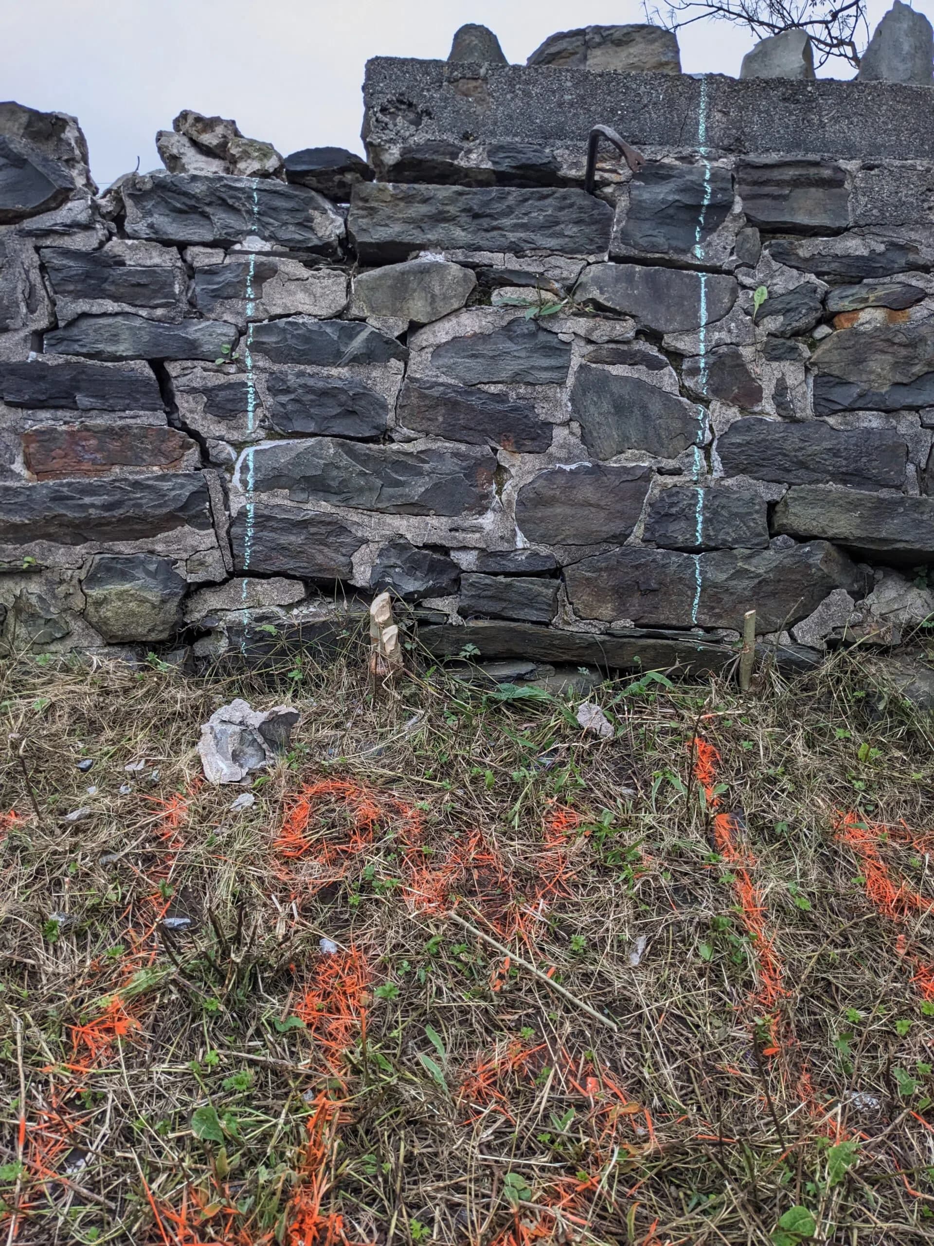 The face of the wall marked out with vertical survey lines in chalk, and orange spray marks laid out on the grass at its foot.